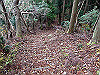 t12_087_thumb.jpg