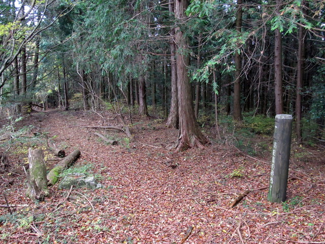 t12_089.jpg