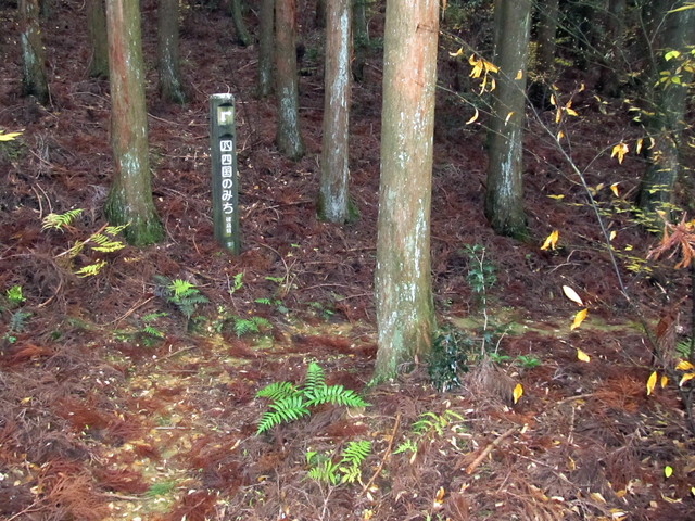 t12_090.jpg