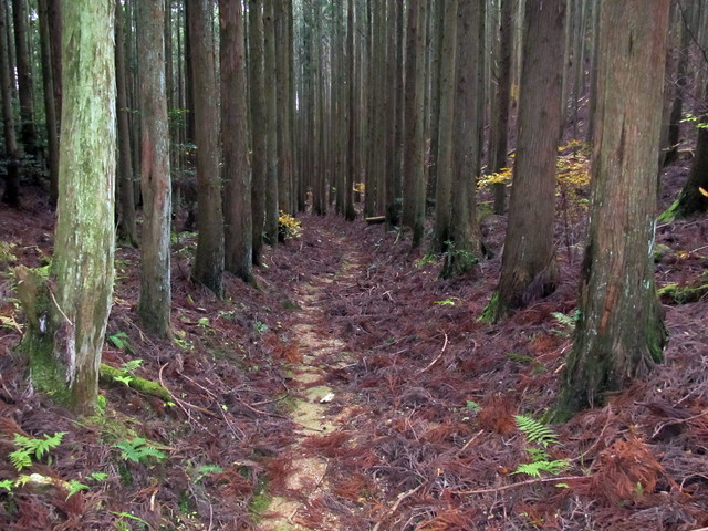 t12_091.jpg
