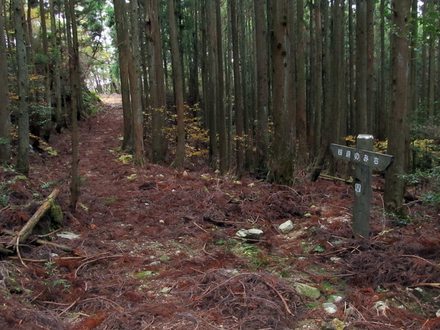 t12_092.jpg