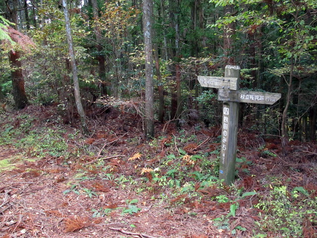 t12_093.jpg