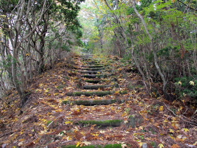 t12_094.jpg