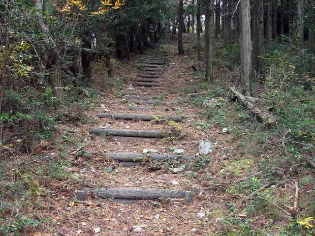 t12_096.jpg