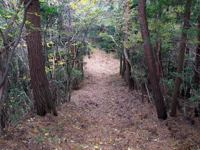 t12_098.jpg