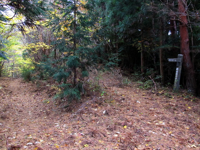 t12_099.jpg