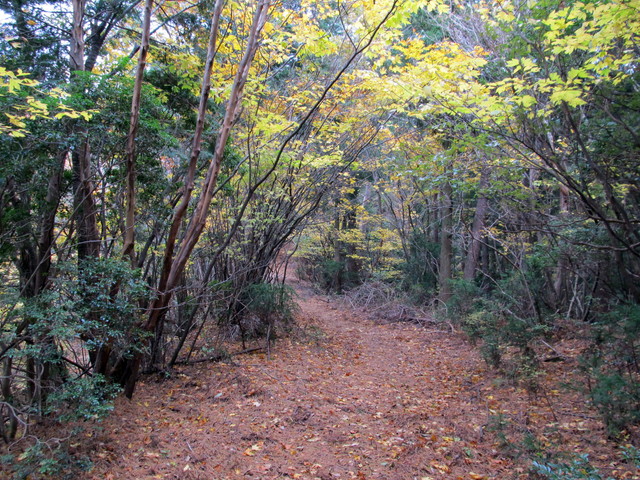 t12_100.jpg