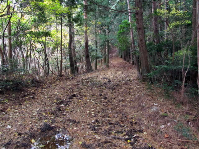 t12_101.jpg