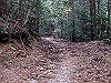 t12_102_thumb.jpg