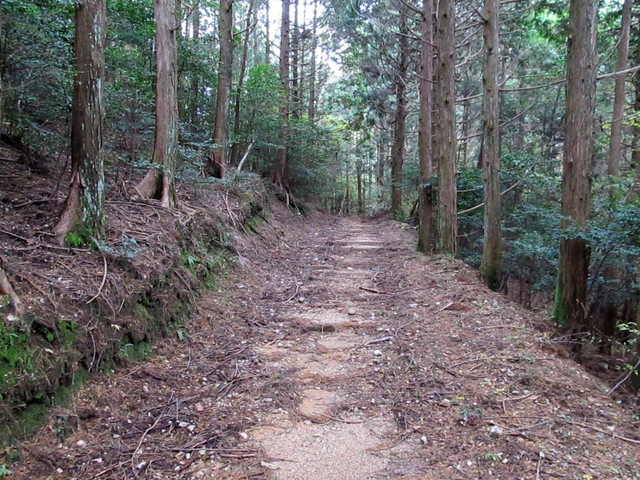 t12_103.jpg