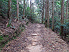 t12_103_thumb.jpg