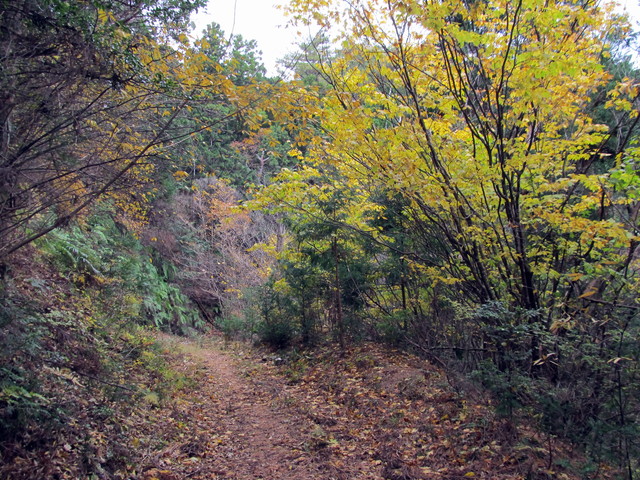 t12_105.jpg