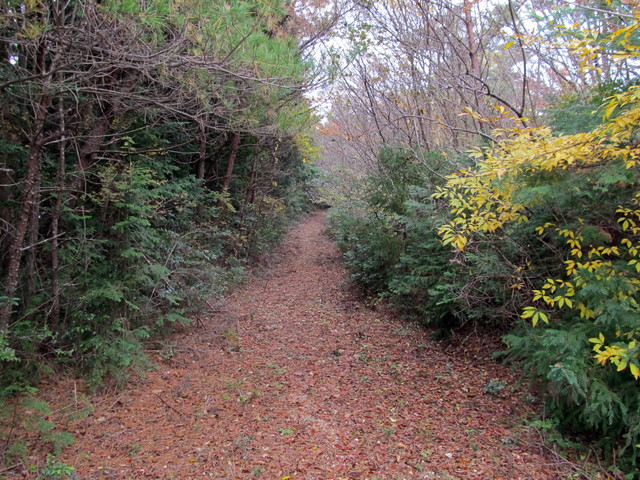 t12_106.jpg