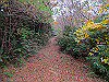 t12_106_thumb.jpg