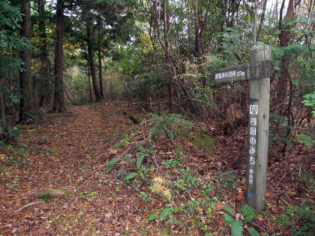 t12_107.jpg