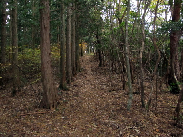 t12_108.jpg