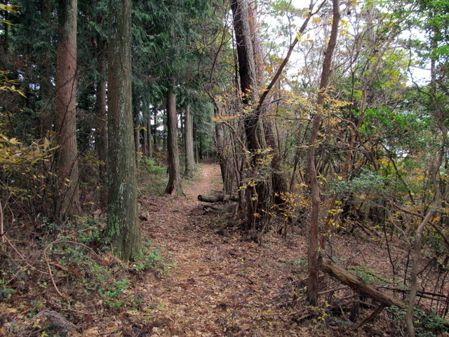 t12_109.jpg