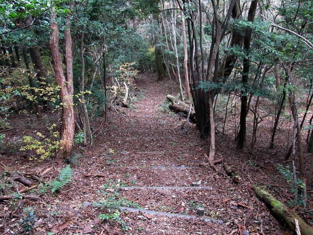 t12_111.jpg
