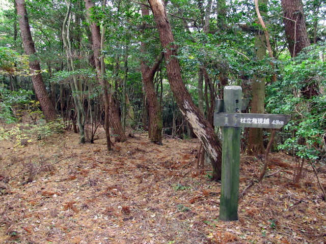 t12_112.jpg