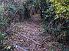t12_113_thumb.jpg