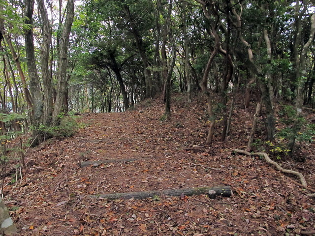 t12_114.jpg
