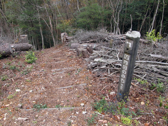 t12_116.jpg