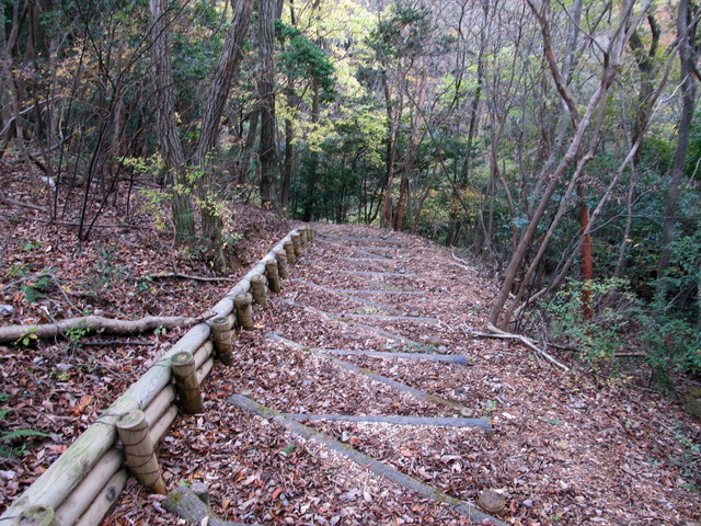 t12_117.jpg