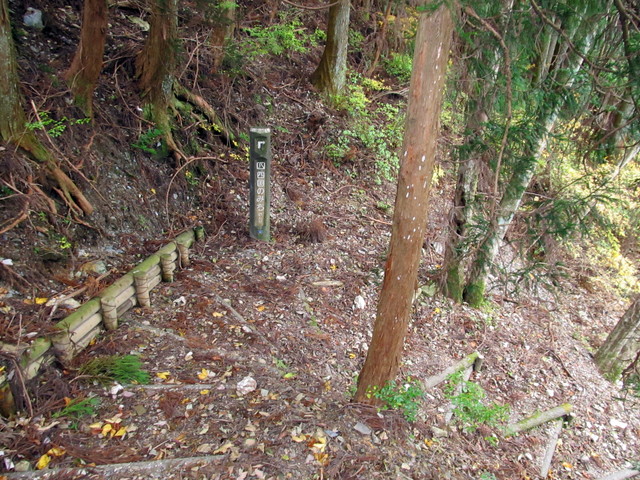 t12_118.jpg