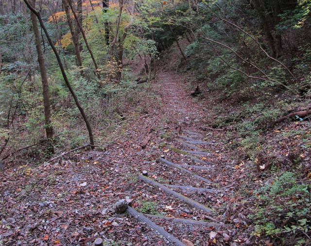 t12_119.jpg