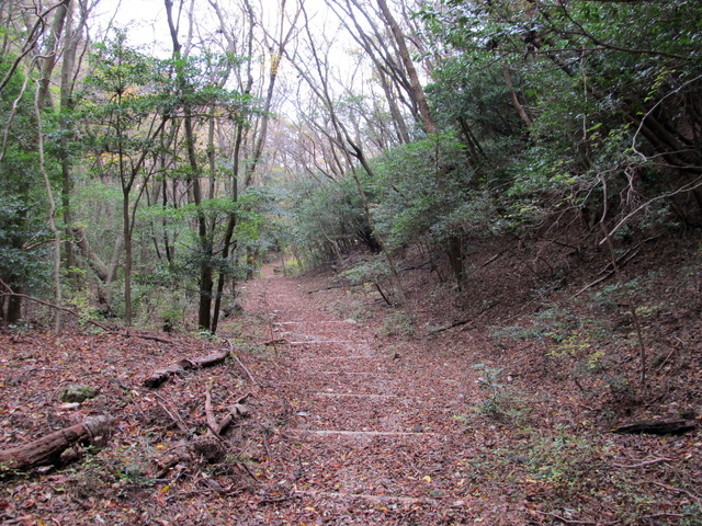 t12_120.jpg