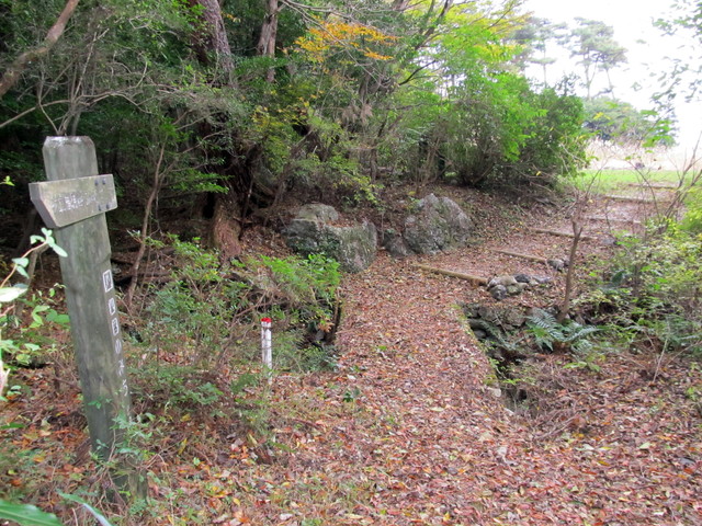 t12_121.jpg