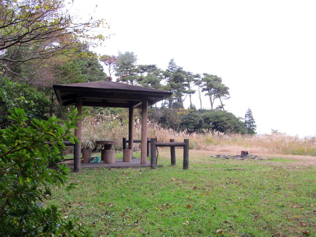 t12_122.jpg