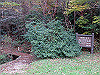 t12_123_thumb.jpg