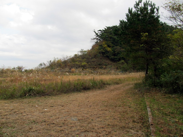 t12_124.jpg