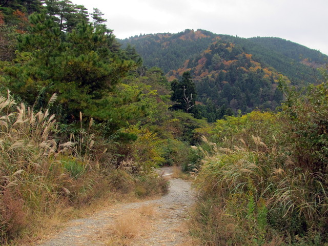 t12_125.jpg