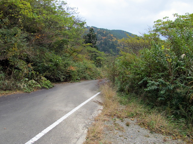 t12_126.jpg
