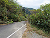 t12_126_thumb.jpg