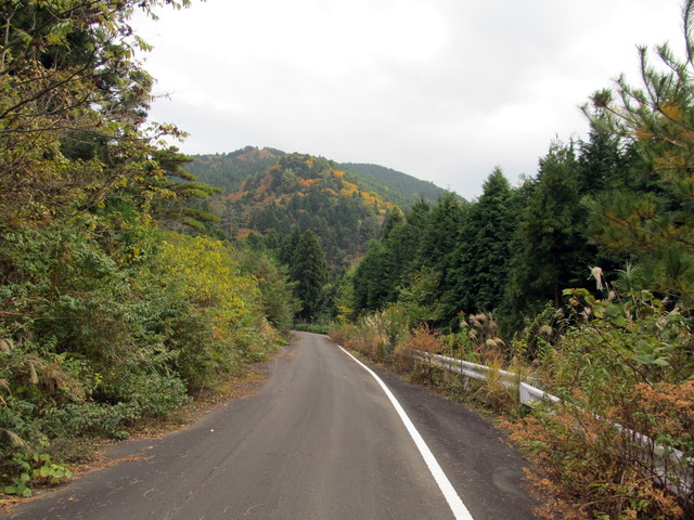 t12_127.jpg