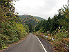 t12_127_thumb.jpg