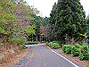 t12_128_thumb.jpg