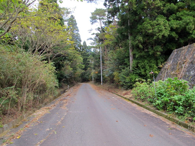 t12_131.jpg