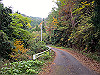 t12_132_thumb.jpg