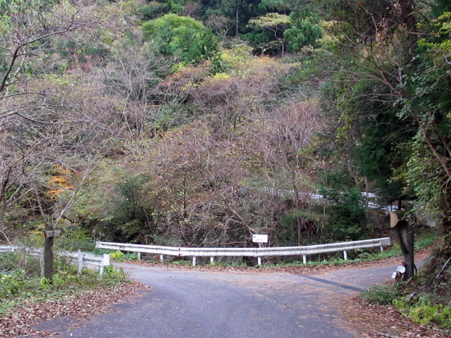 t12_134.jpg