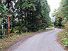 t12_136_thumb.jpg