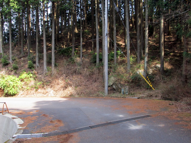 t12_137.jpg