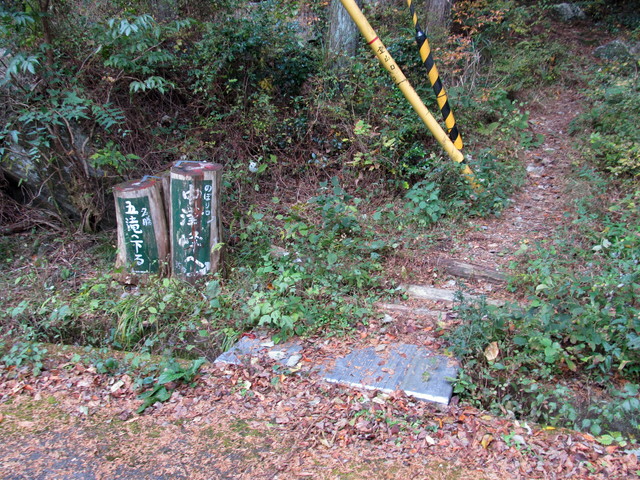 t12_138.jpg