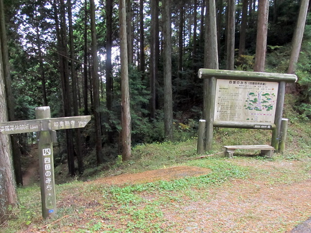 t12_140.jpg