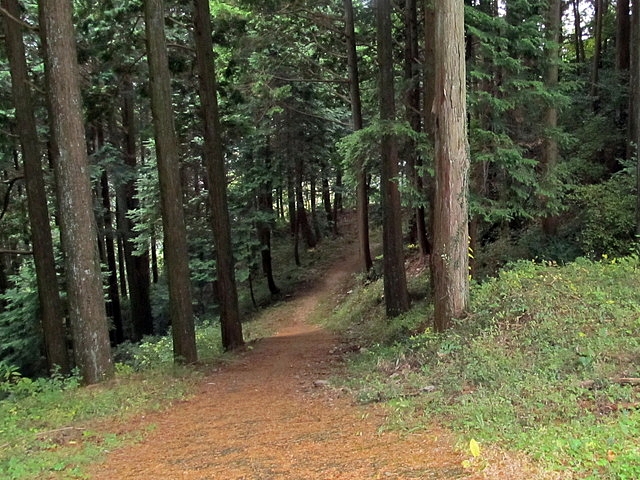 t12_142.jpg