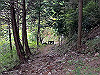 t12_143_thumb.jpg