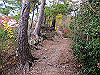 t12_146_thumb.jpg